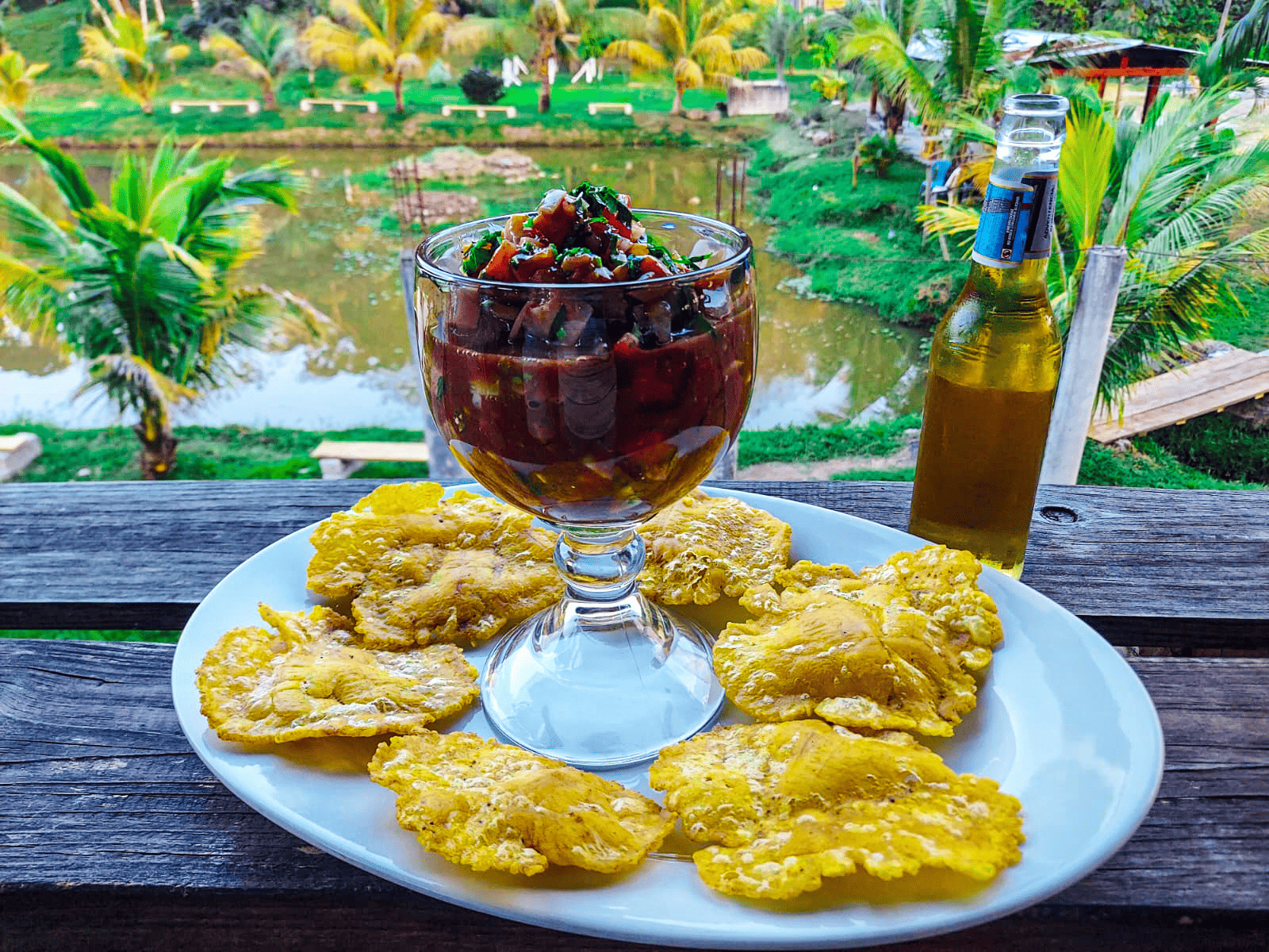 VARIEDAD DE CEVICHES